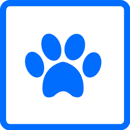 Blu Coast Car Wash - Basic Pup Wash package
